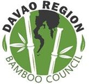 DTI Bamboo